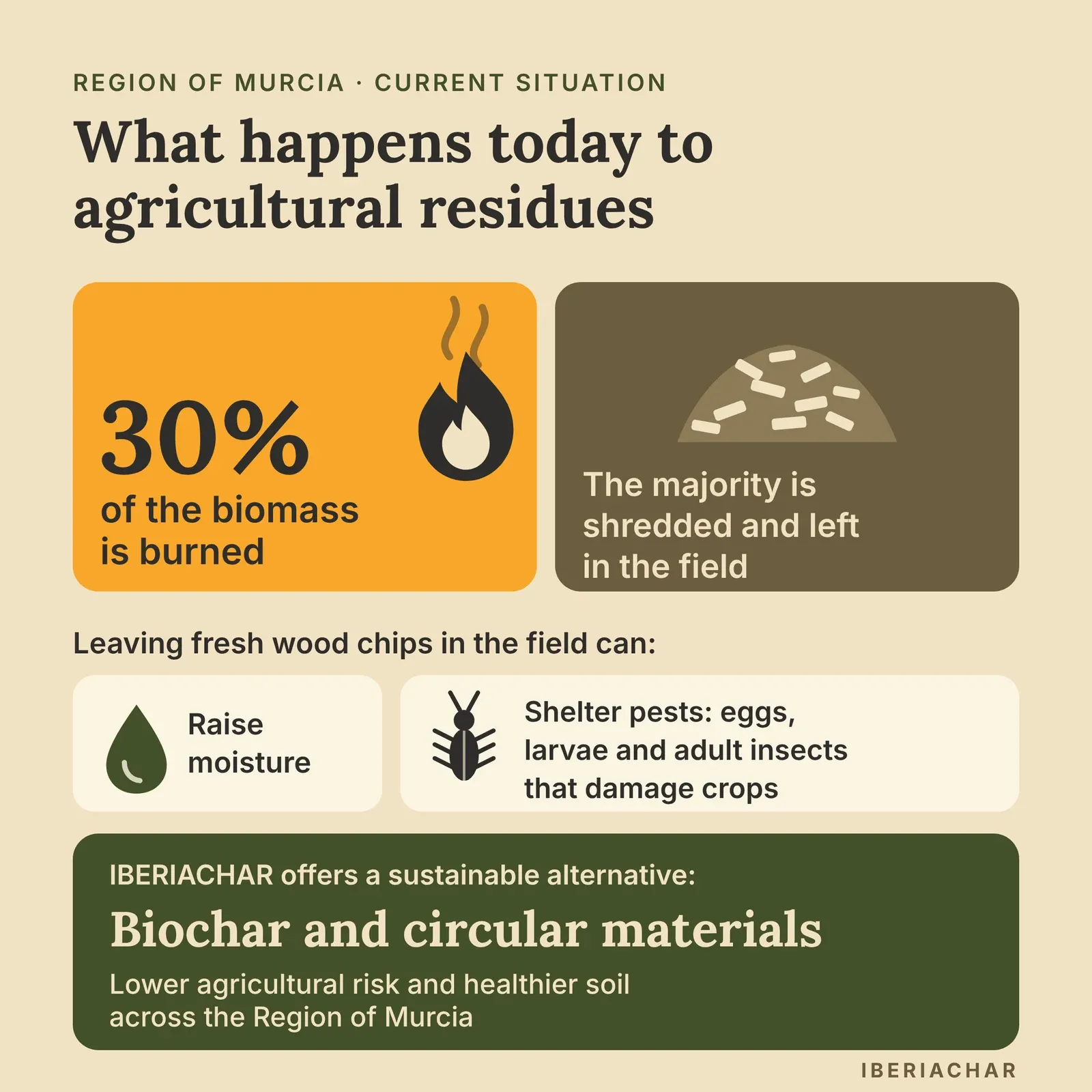 Infographic: about 30% of the biomass in the Region of Murcia is burned, and the majority is shredded and left in the field. Fresh wood chips and leaf debris can hold water and shelter eggs, larvae and even adults of insects that damage crops. IBERIACHAR offers a sustainable alternative: biochar and circular materials, with lower agricultural risk and healthier soil across the Region of Murcia.